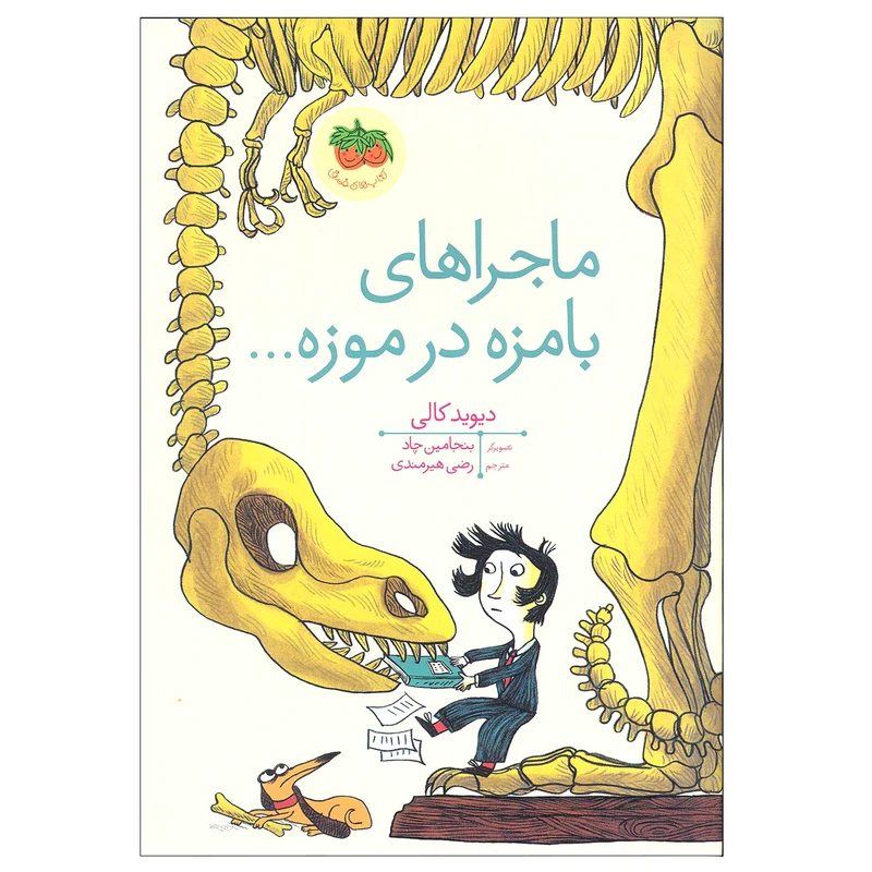کتاب ماجراهای بامزه در موزه اثر دیوید کالی نشر افق