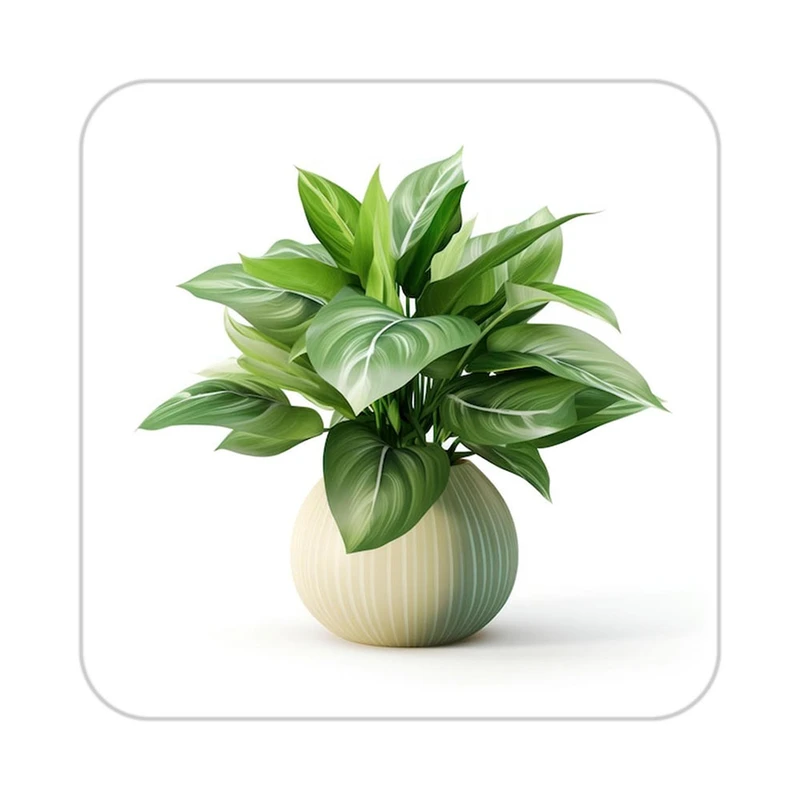 زیر لیوانی کاکتی طرح گل مدل mp17104