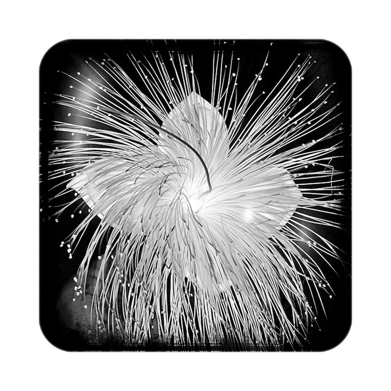 زیر لیوانی کاکتی طرح گل مدل mp16422