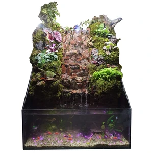 گیاه طبیعی پالوداریوم مدل صخره ای