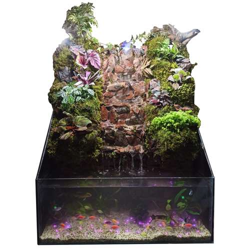 گیاه طبیعی پالوداریوم مدل صخره ای