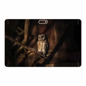 MAHOOT Owl Cover Sticker for GLX W11 Plus
