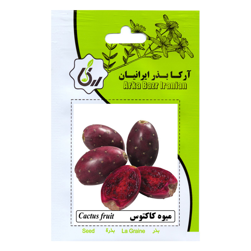 بذر میوه کاکتوس آرکا بذر ایرانیان کد 208-ARK
