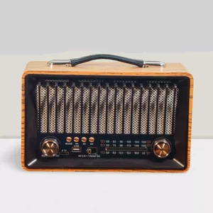 رادیو مدل 1918