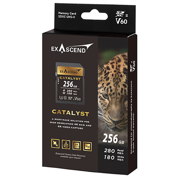 کارت حافظه SD اکساسند مدل Catalyst کلاس 10 استاندارد UHS-II U3 سرعت 280MBps ظرفیت 256 گیگابایت