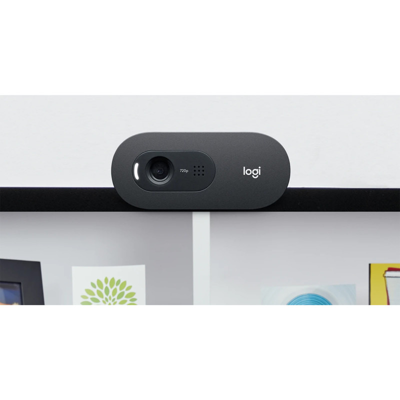وب کم لاجیتک مدل C505e HD