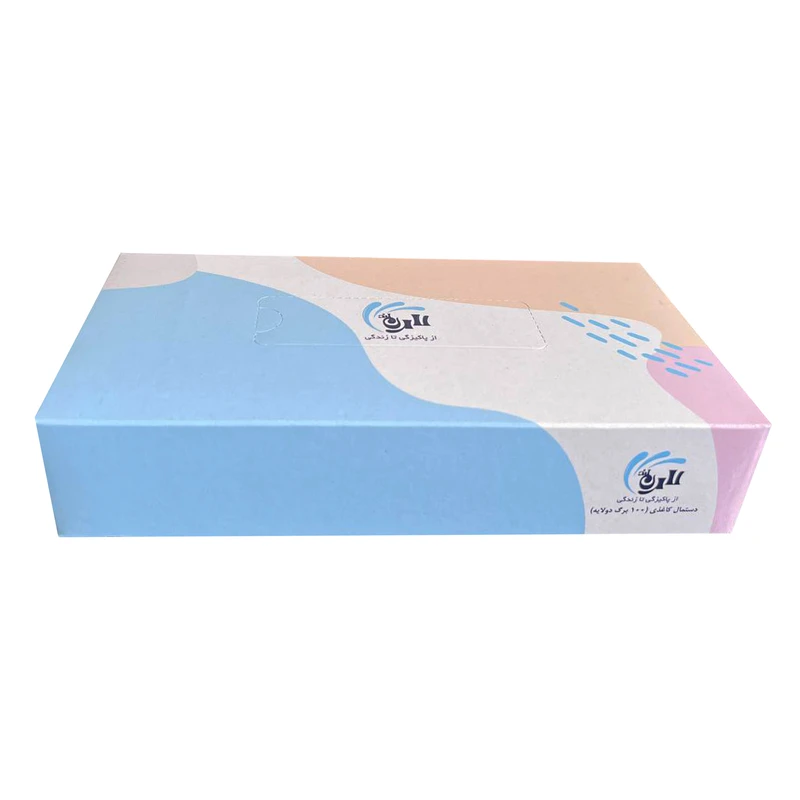 دستمال کاغذی 100 برگ دو لایه لارنلند مدل آیلا