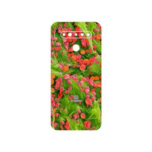MAHOOT Atom Universe 3 Cover Sticker for LG K41s