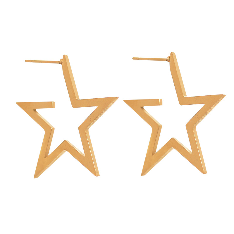 گوشواره زنانه ماصرم مدل ستاره کد ER2070 گوشواره زنانه ماصرم مدل ستاره کد ER2070