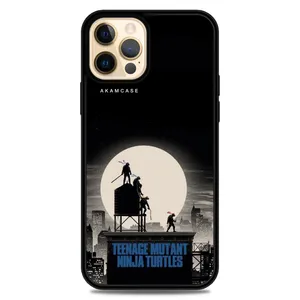 AKAM AMC-WA12PRO-NINJA TURTLES13 Cover For Apple iPhone 12 Pro
