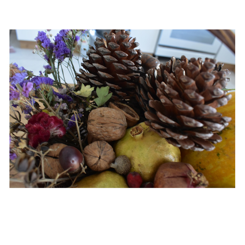 میوه تزیینی مدل میوه درخت کاج کد GB 015 بسته 15 عددی