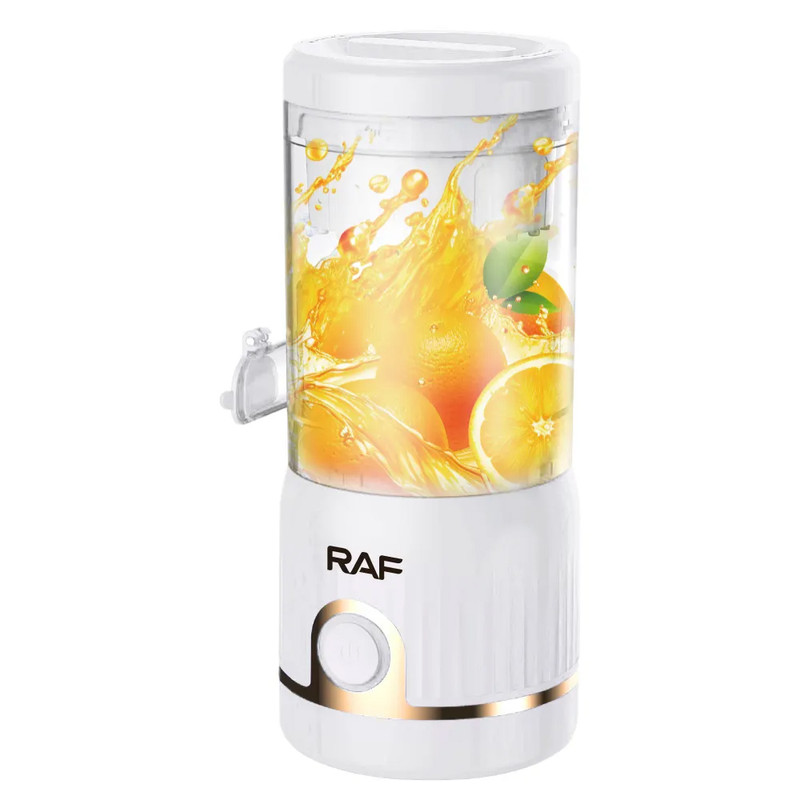 مخلوط کن 0.25 لیتری راف مدل R.613