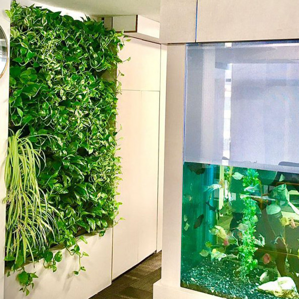 گلدان دیواری طرح دیوار سبز مدل Lotus بسته 6 عددی