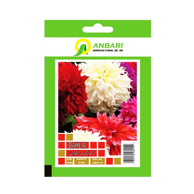 بذر گل کوکب الوان بذر عنبری کد BZA-027