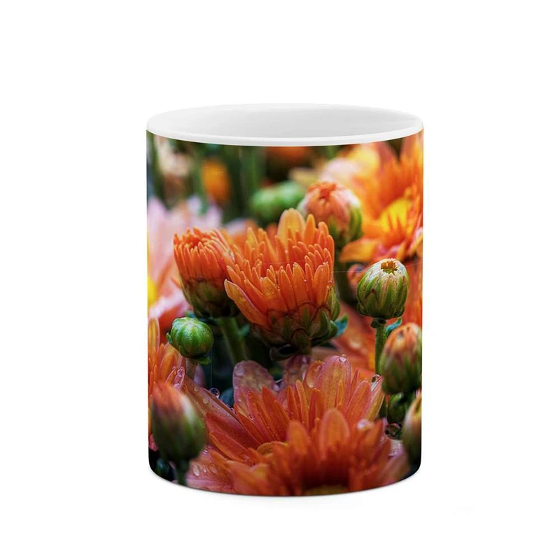 ماگ کاکتی مدل گل کد mgh12060