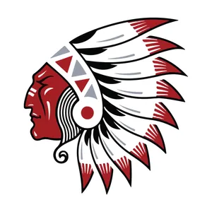 استیکر خودرو پویا مارکت طرح سرخپوست کد 868