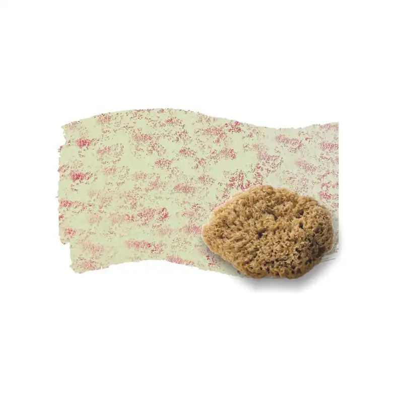 ابزار پتینه مدل اسفنج دریایی طبیعی کد TM-HM