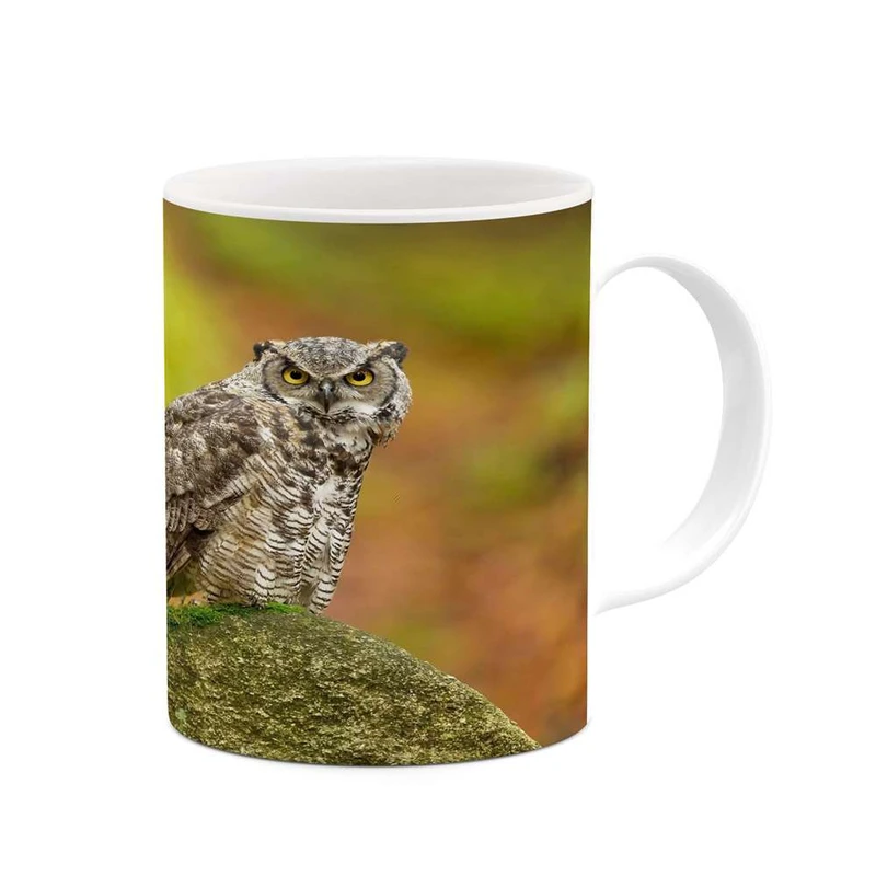 ماگ کاکتی مدل جغد کد mgh16478