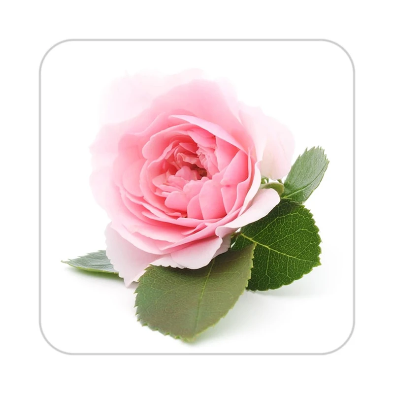 زیر لیوانی کاکتی طرح گل مدل mp16683