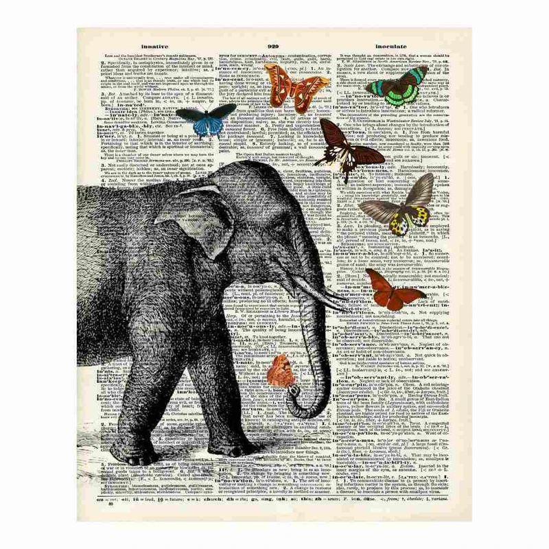 پوستر مدل پروانه‌ها وفیل