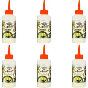 روغن زنجیر دوچرخه اندرسون مدل E500 حجم 80 میلی لیتر بسته 6 عددی