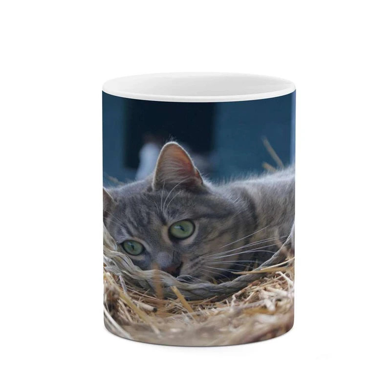 ماگ کاکتی مدل گربه کد mgh14505