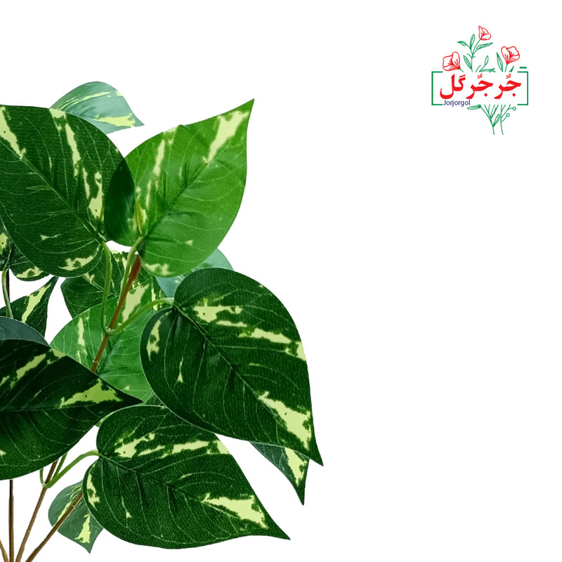 گل مصنوعی جُرجُرگل مدل بوته برگ پتوس کد 300 بسته دو عددی