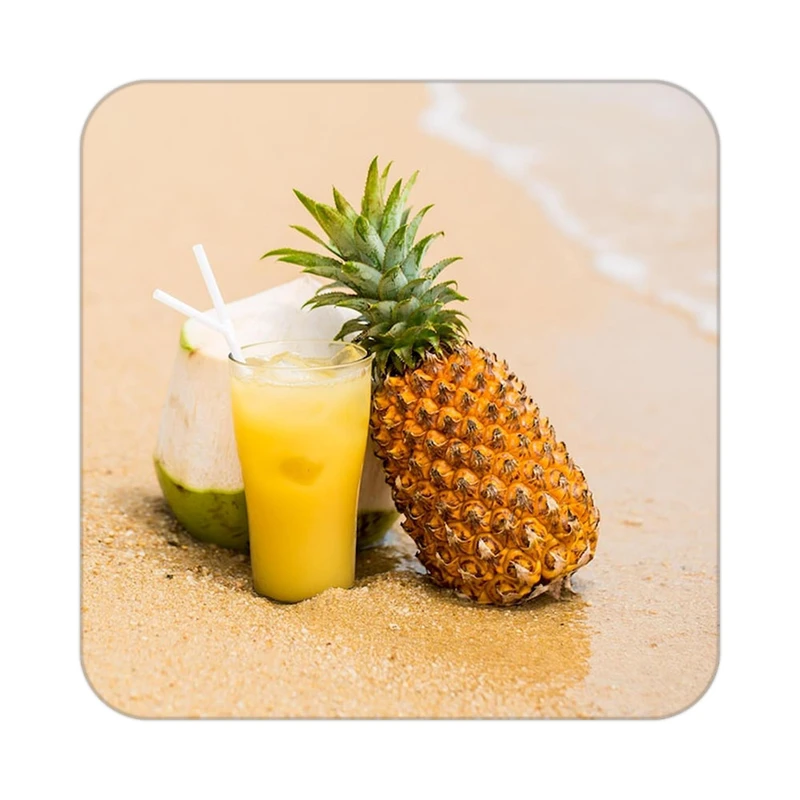 زیر لیوانی کاکتی طرح میوه مدل mp20272