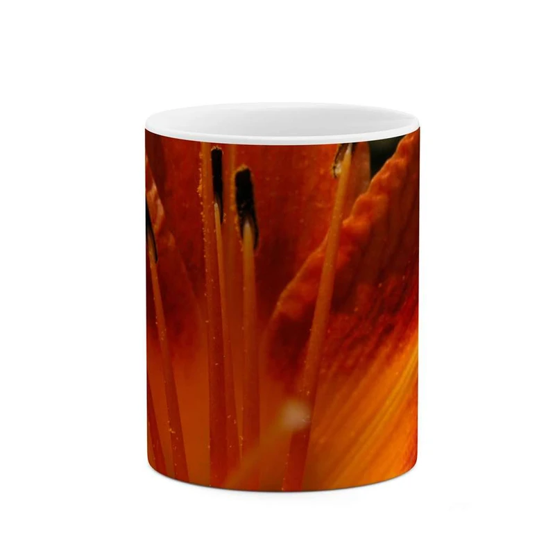 ماگ کاکتی مدل گل کد mgh12099