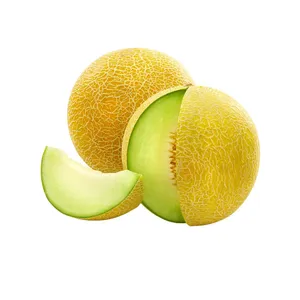 ملون - 8 کیلوگرم