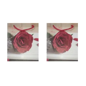ساک هدیه مدل گل کد 007 بسته 2 عددی 
