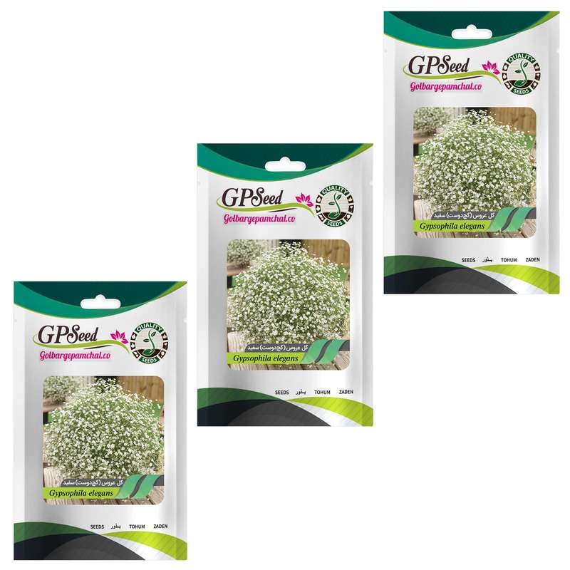 بذر گل عروس گچ دوست سفید گلبرگ پامچال کد GPF-315 مجموعه 3 عددی