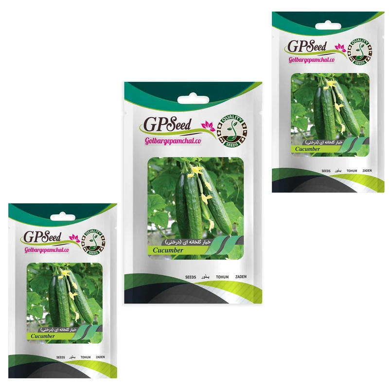  بذر خیار گلخانه ای درختی گلبرگ پامچال کد GPF-174 مجموعه 3 عددی 