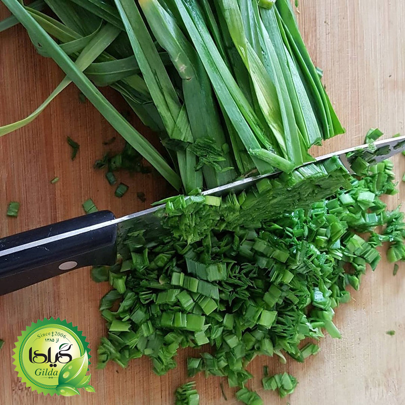 بذر تره گیلدا کد 115