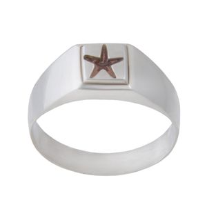 نقد و بررسی انگشتر نقره مردانه بازرگانی میلادی مدل حرز چهارده معصوم کد AM_060 توسط خریداران