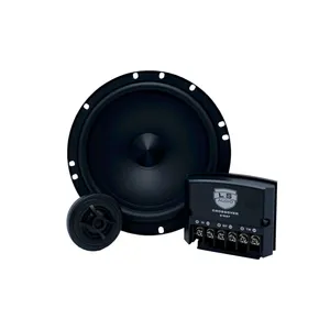 کامپوننت درب جلو راست خودرو ال اس آدیو مدل LS-6X1C