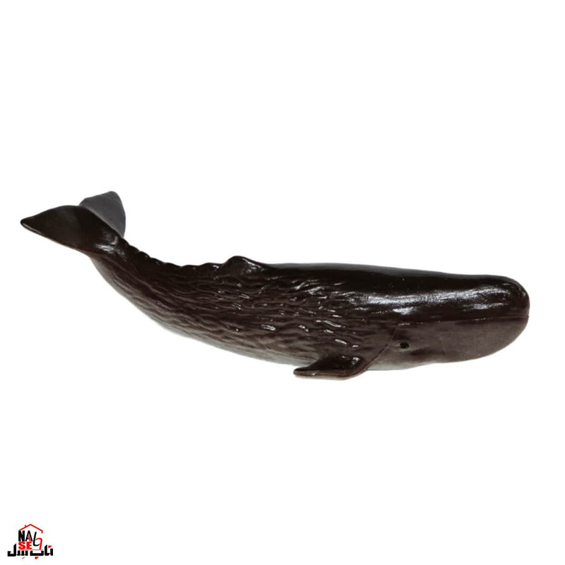 فیگور ناب سل مدل نهنگ کد CACHALOT NAAB039 ارتفاع 3 سانتی متر