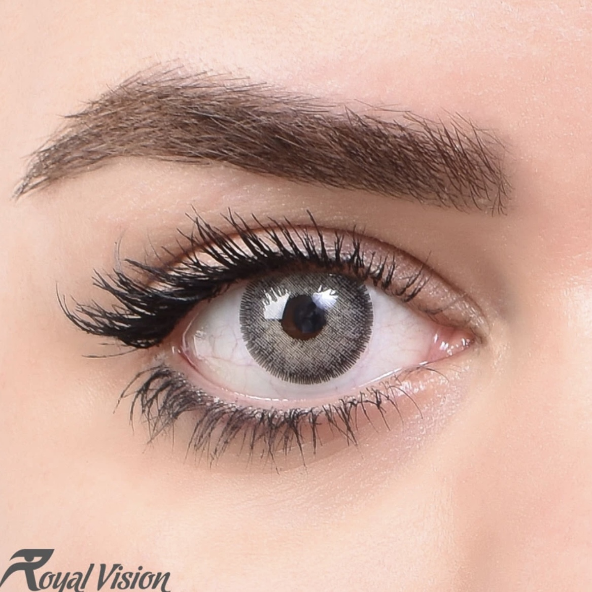 لنز چشم رویال ویژن مدل 100 رنگ خاکستری روشن دور دار