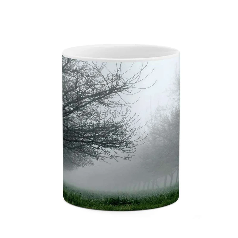 ماگ کاکتی مدل منظره کد mgh15572