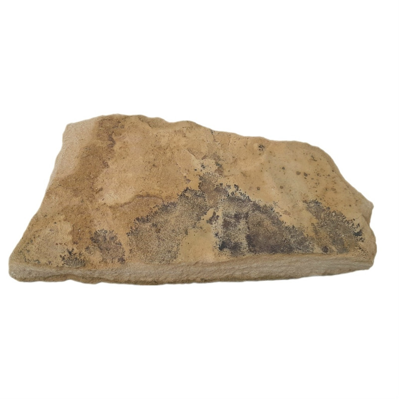 سنگ راف شجر مدل فسیلی کد 133
