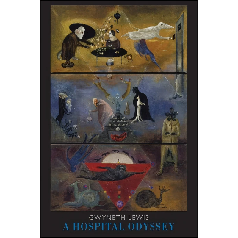 کتاب A Hospital Odyssey اثر Gwyneth Lewis انتشارات Bloodaxe Books