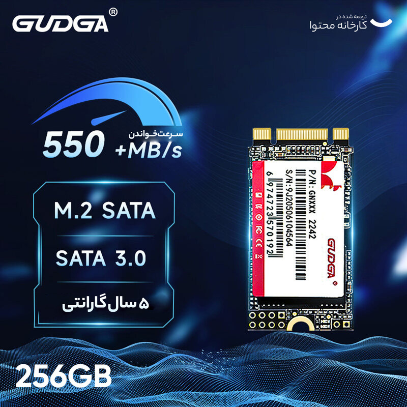 اس اس دی اینترنال گودگا مدل M.2_2242 ظرفیت 256 گیگابایت