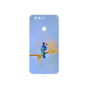 MAHOOT Cyanocitta cristata Cover Sticker for Elephone P8 Mini