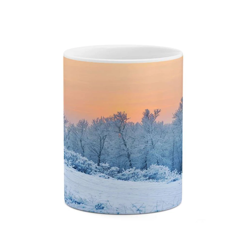 ماگ کاکتی مدل منظره برفی کد mgh14901