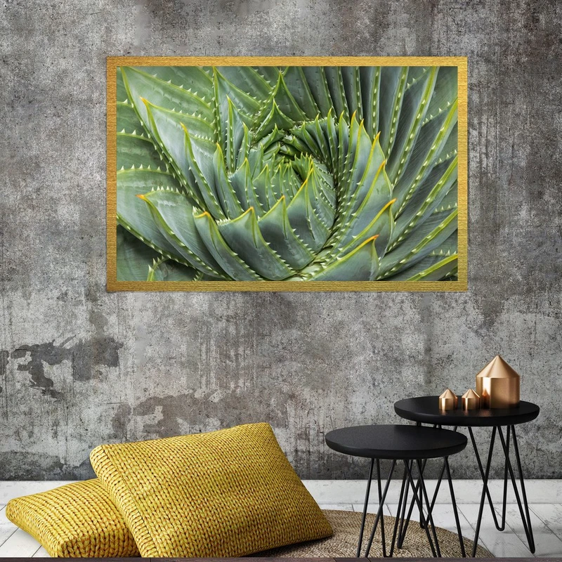 تابلو بکلیت طرح گل کاکتوس مدل قاب شاسی T-S8497