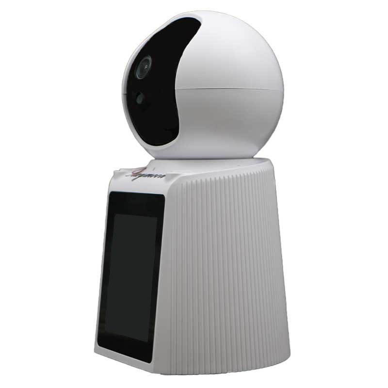 دوربین مداربسته تحت شبکه رایمون مدل RW300