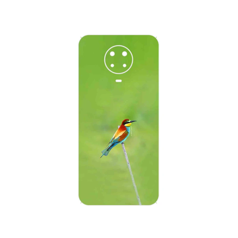 برچسب پوششی ماهوت مدل European bee-eater مناسب برای گوشی موبایل نوکیا G20