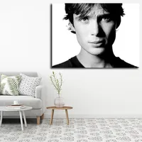 تابلو شاسی مدل کیلین مورفی کد 20