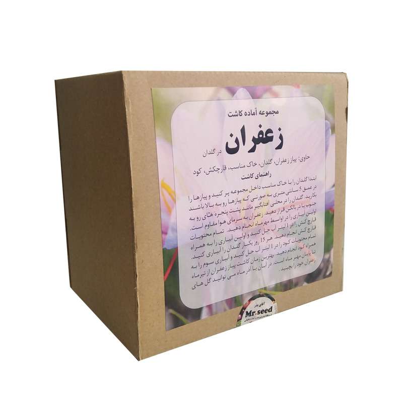 مجموعه آماده کاشت زعفران آقای بذر کد 1211 مجموعه 5 عددی