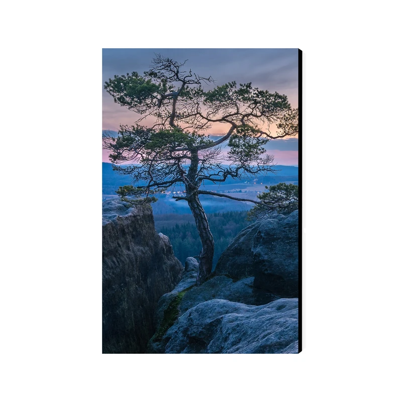 تابلو شاسی عرش مدل فانتزی منظره درخت کد As4287